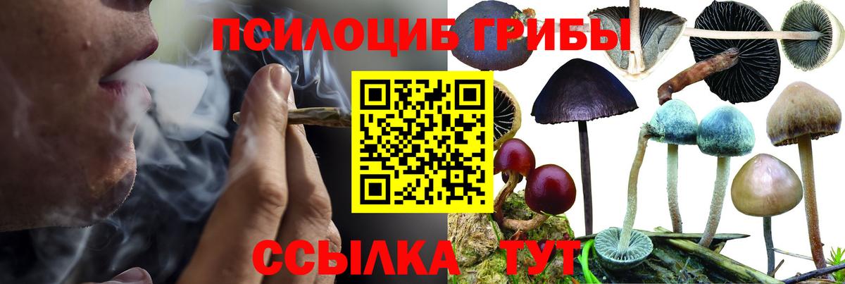Псилоцибиновые грибы мицелий  Вход с VPN  Новоалтайск 
